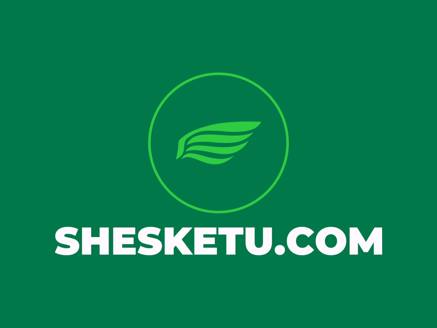 www.shesketu.com